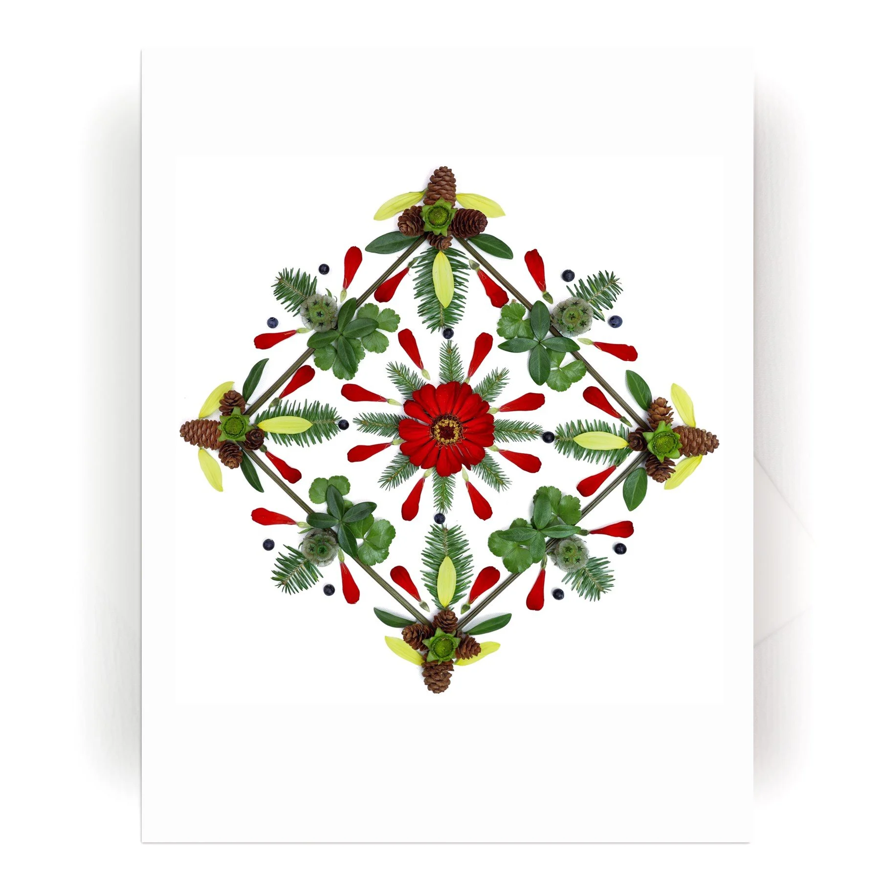 NEW! Nature Mandala Card