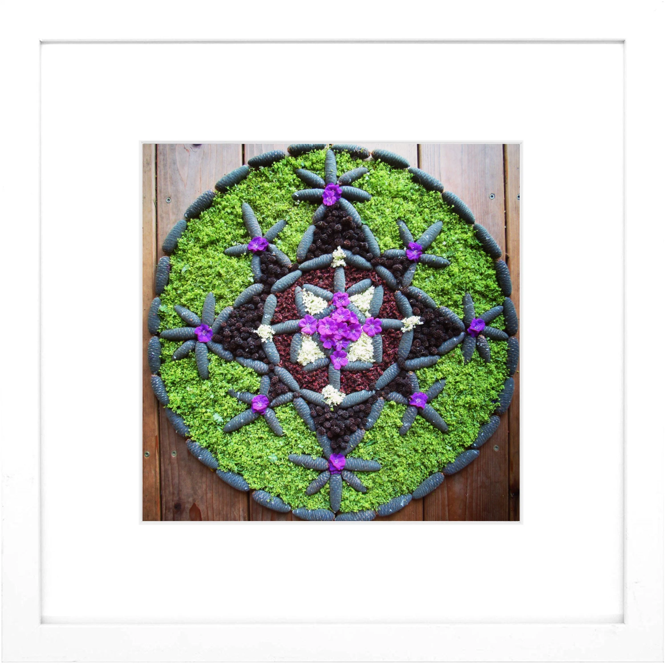 Nature Mandala Art Framed Print Balance.jpg