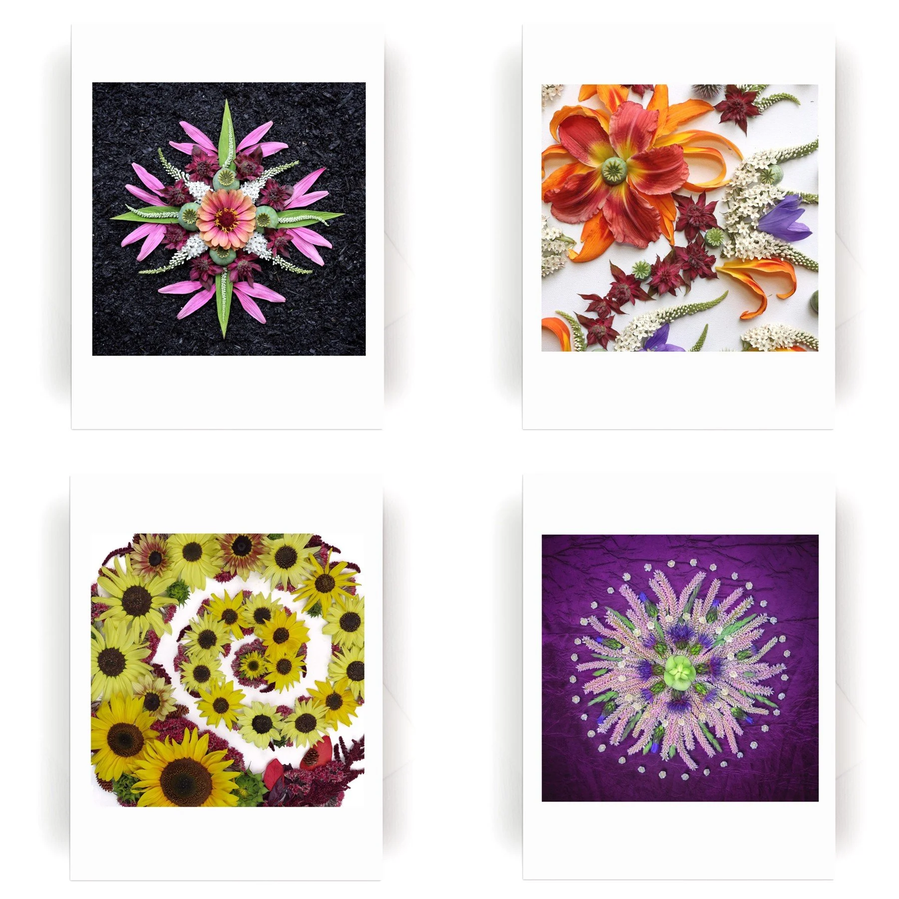 NEW! Dynamic Collection :: 12 Cards