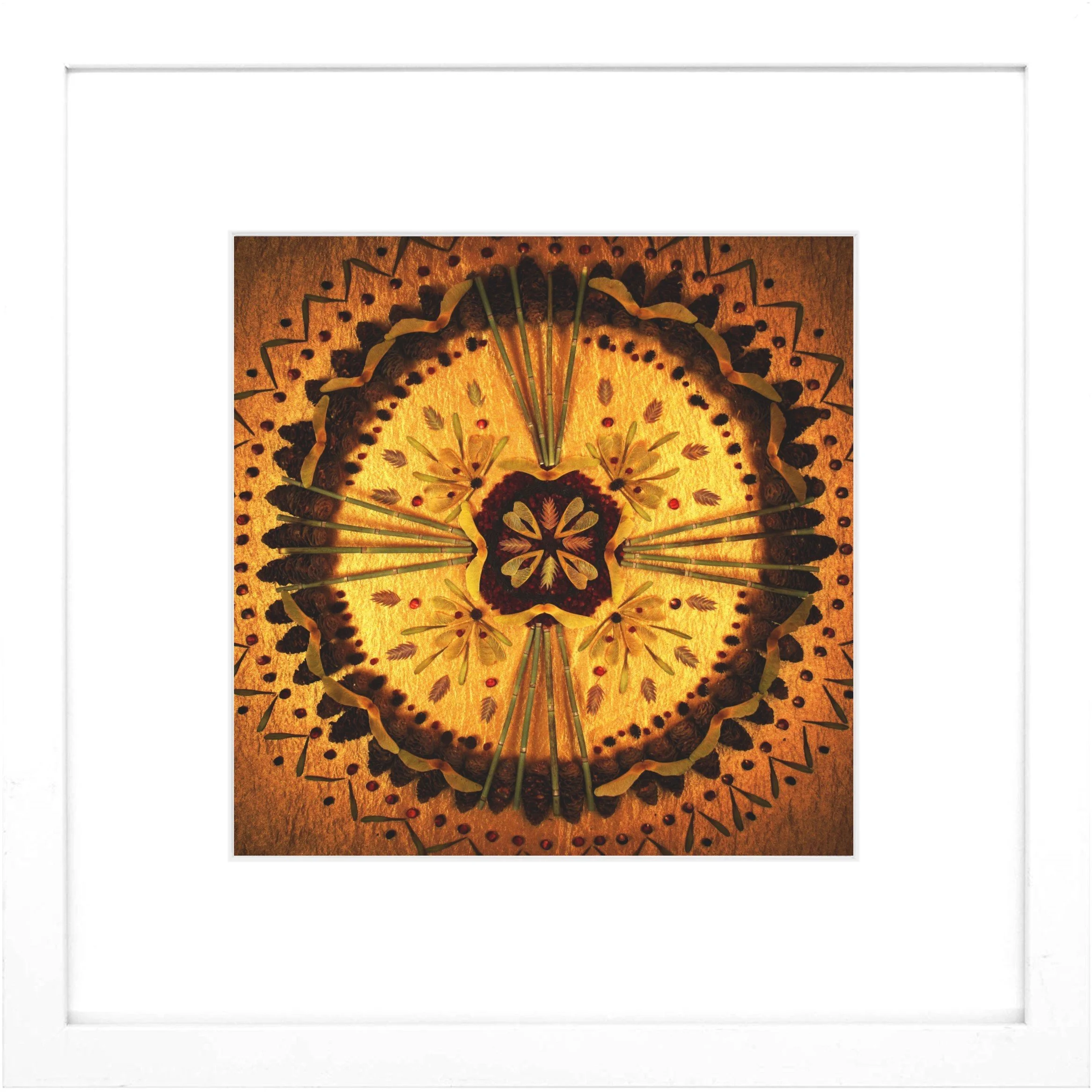 Nature Mandala Art Framed Print Intentions.jpg