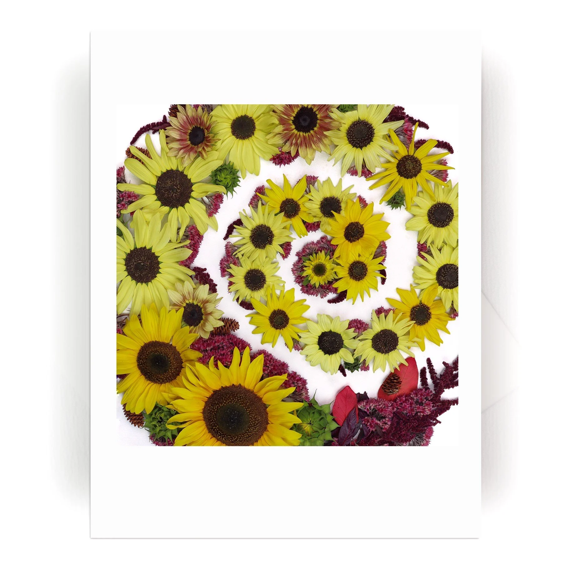 NEW! Nature Mandala Card