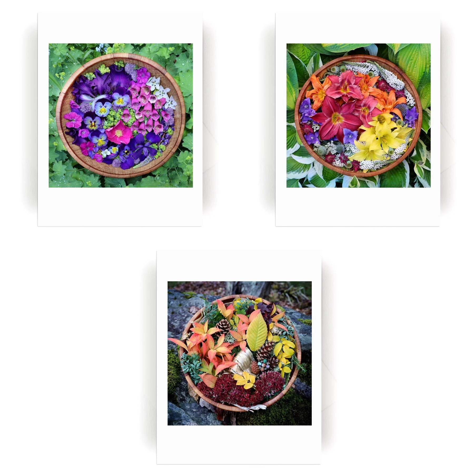 NEW! Flower Basket Collection  :: 6 Cards