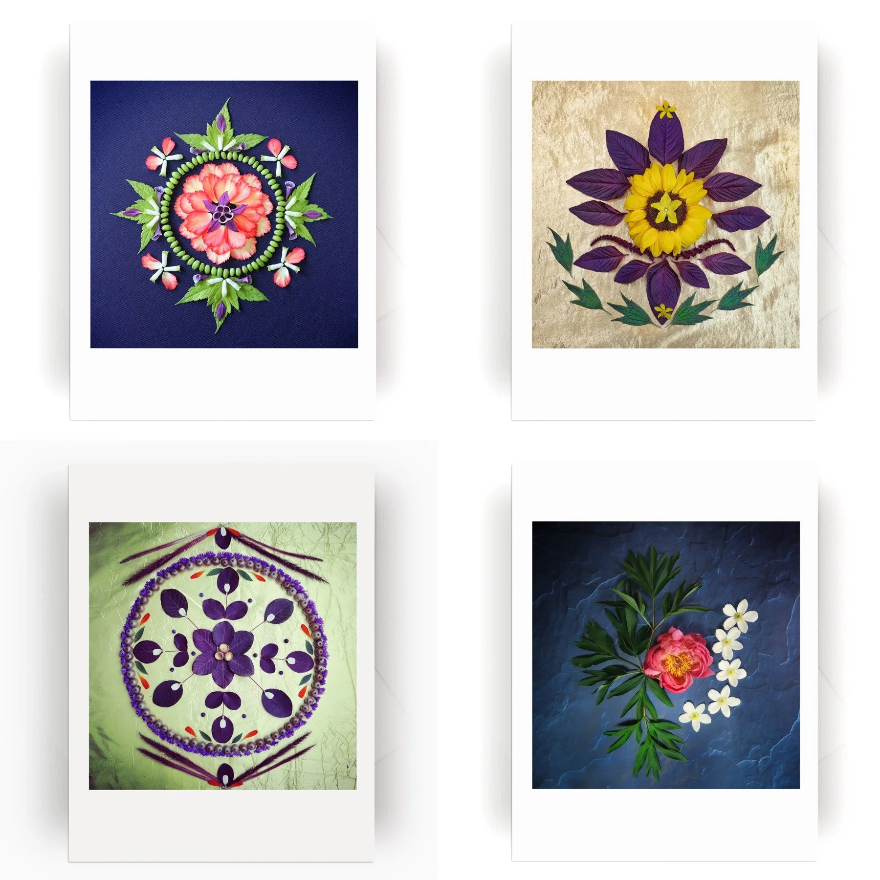 Nature Mandala Dynamic Collection2.jpg