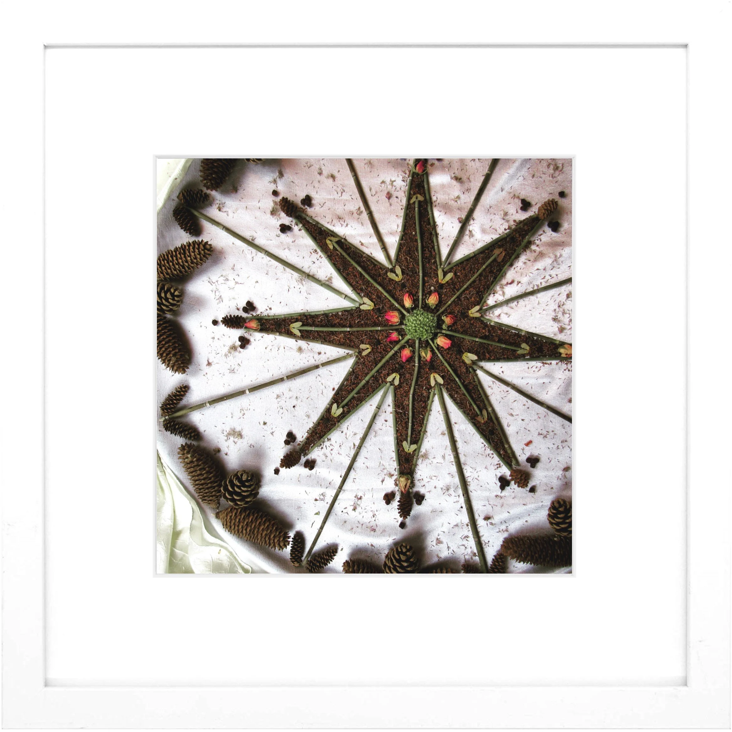 Nature Mandala Art Framed Print Star.jpg