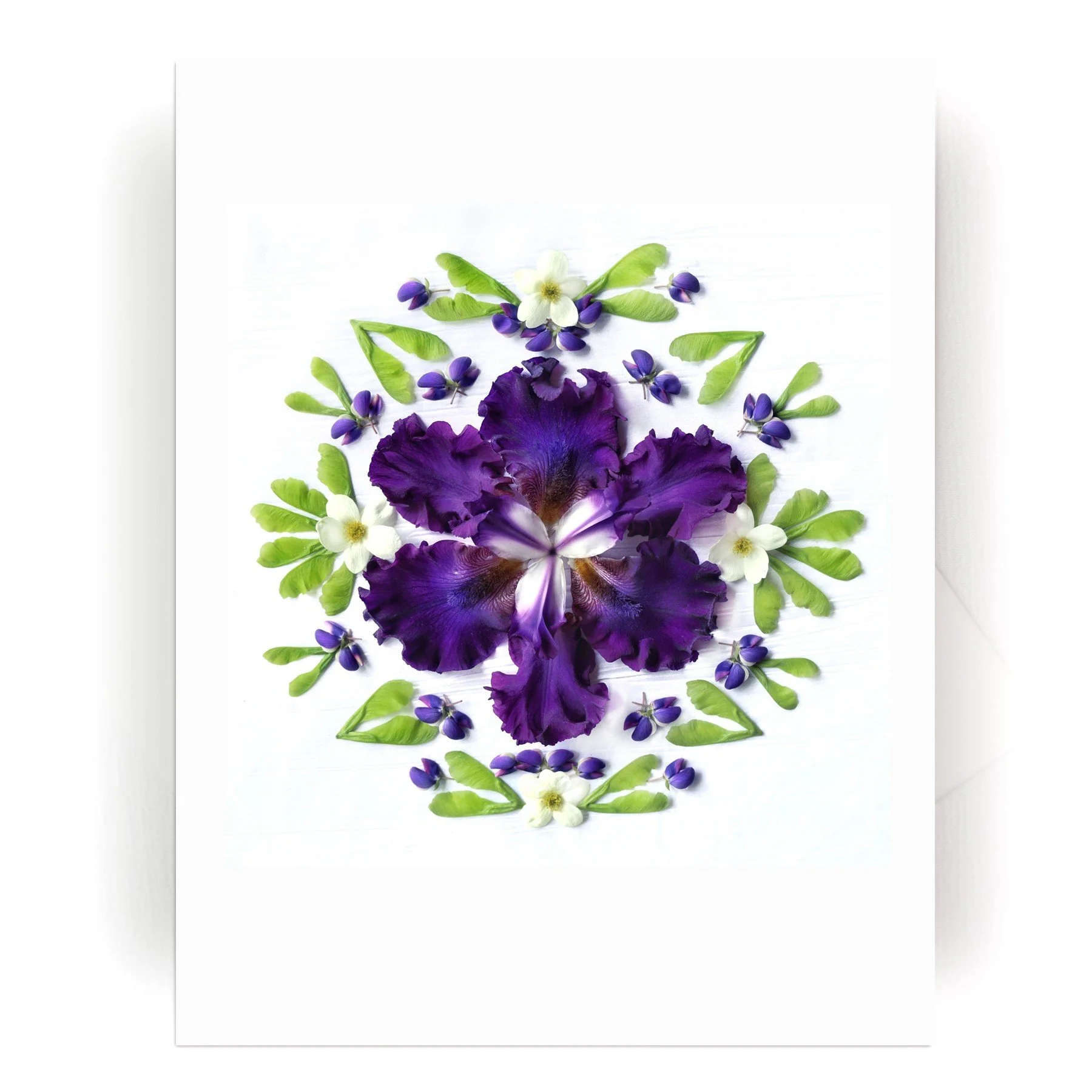 NEW! Nature Mandala Card