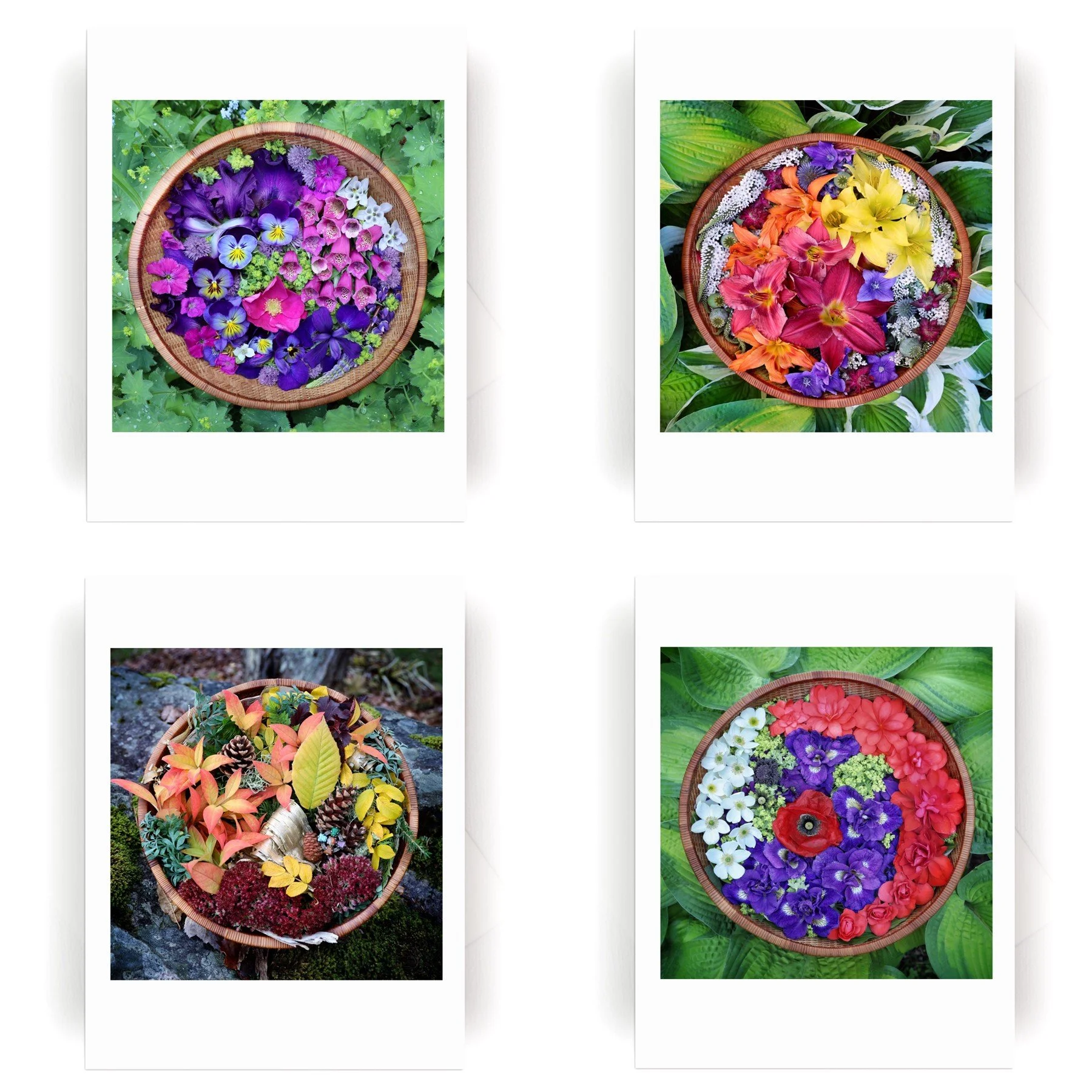 Nature Mandala Flower Basket Collection 3d.jpg