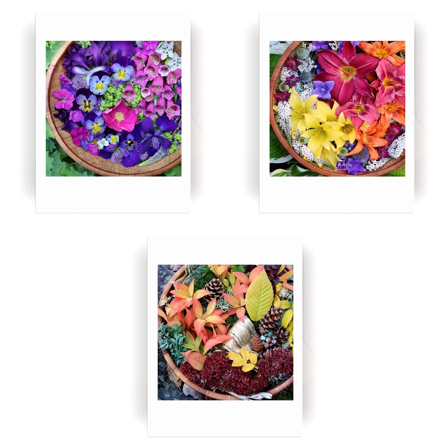 NEW! Flower Basket Collection  ::6 Cards (Close-Up Version)