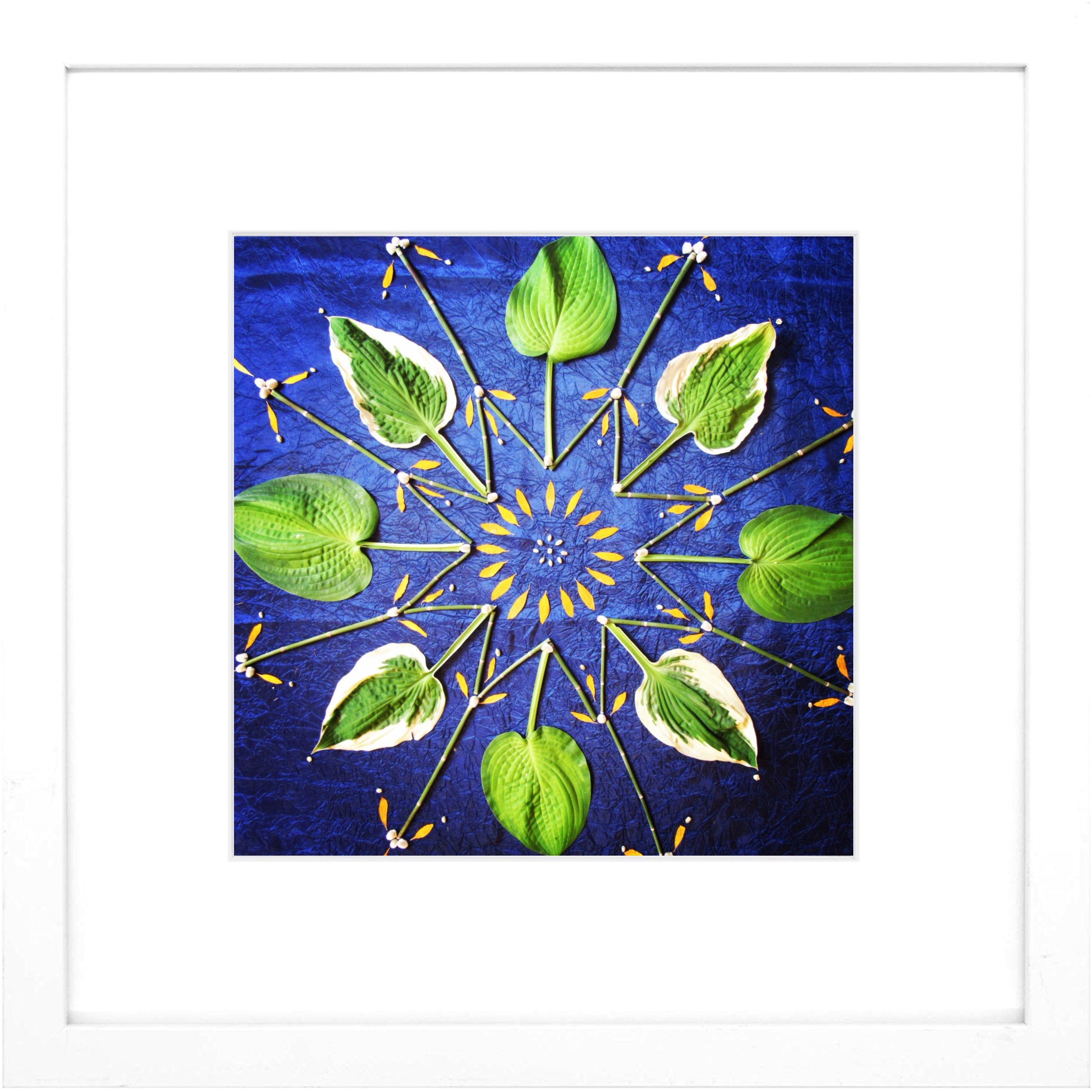 Nature Mandala Art Framed Print Radiance.jpg