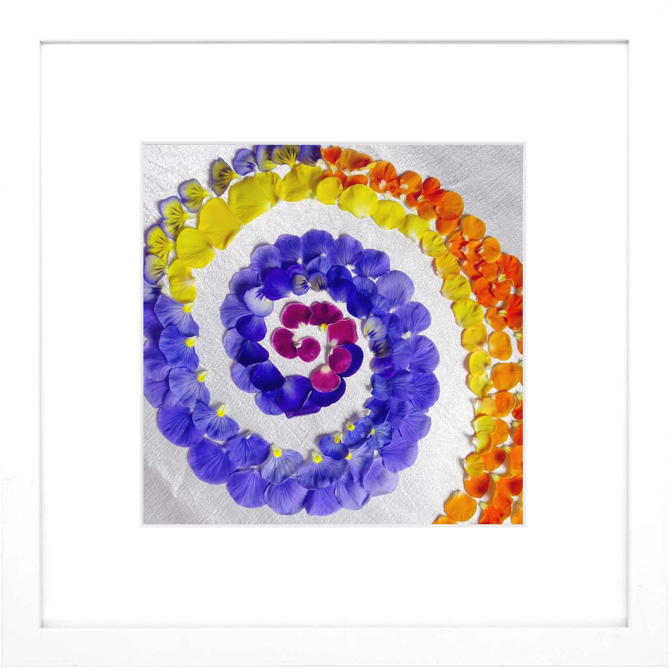 Nature Mandala Art Framed Print Spiral.jpg