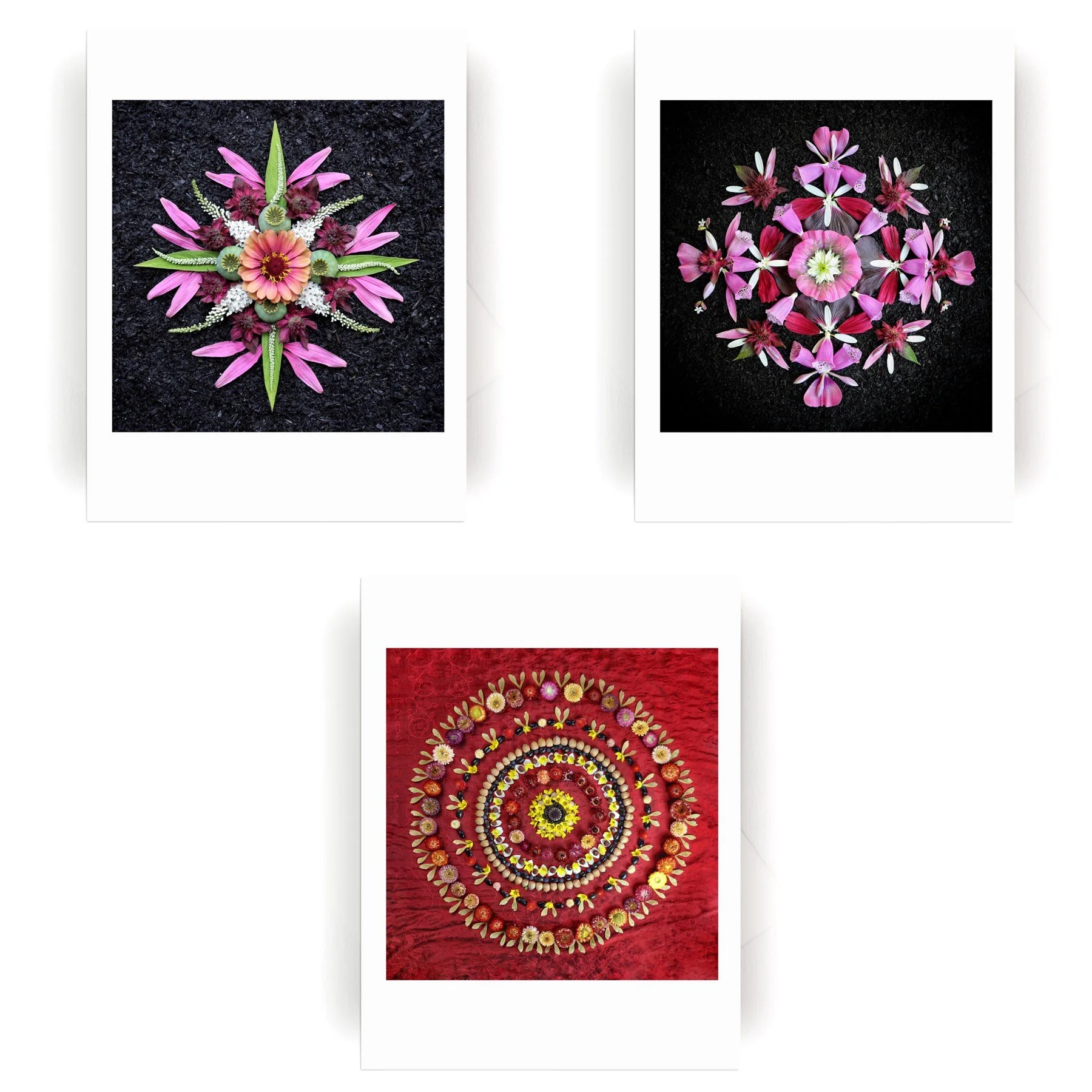 Nature Mandala Dynamic Collection3.jpg