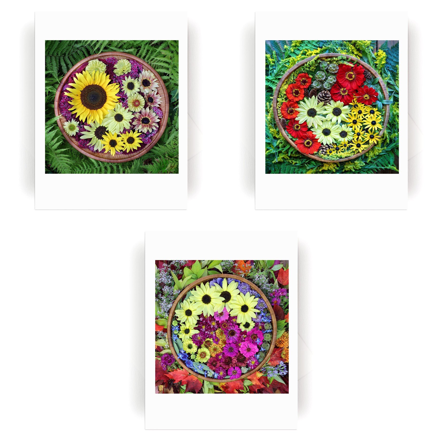 NEW! Flower Basket Collection :: 14 Cards