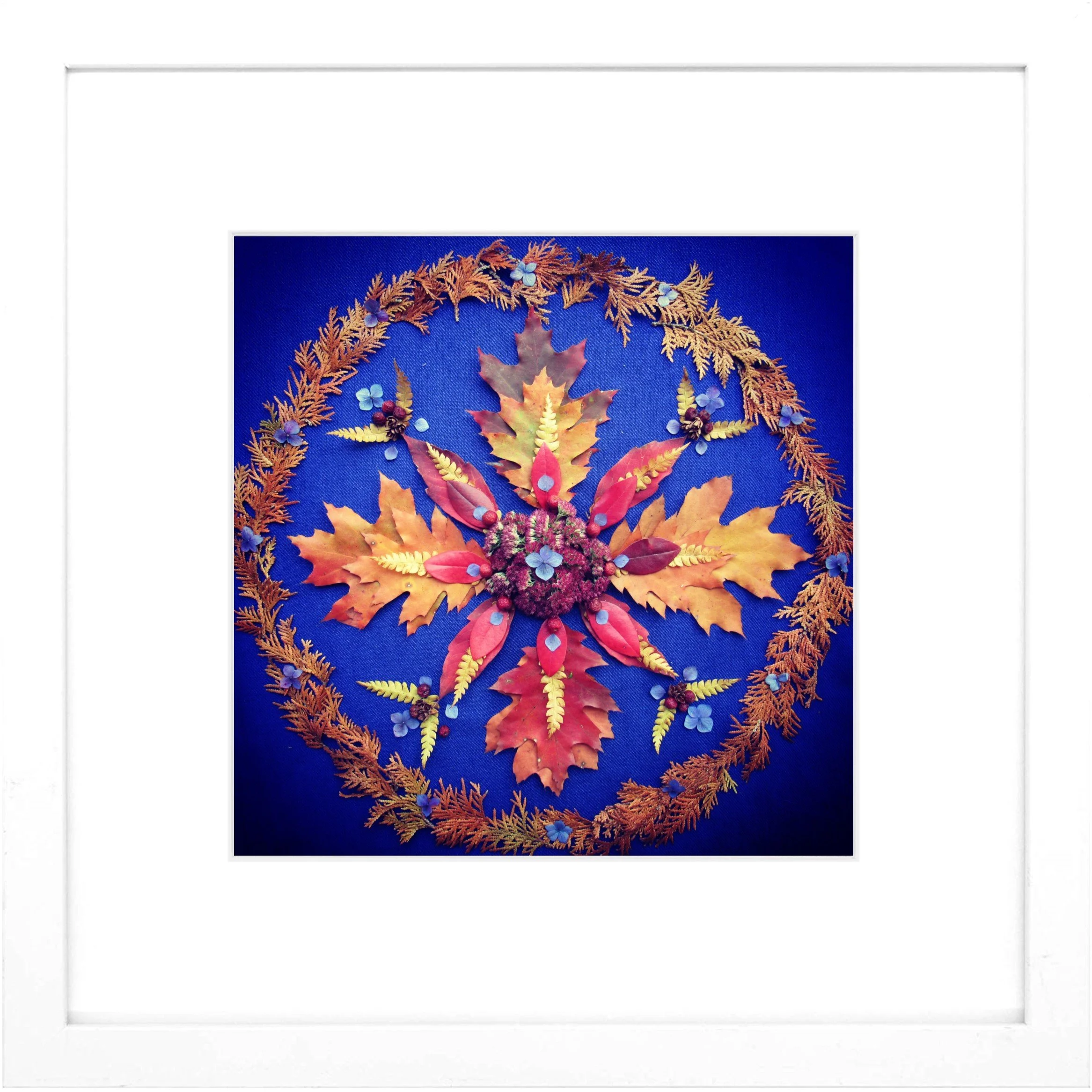 Nature Mandala Art Framed Print Harmony.jpg
