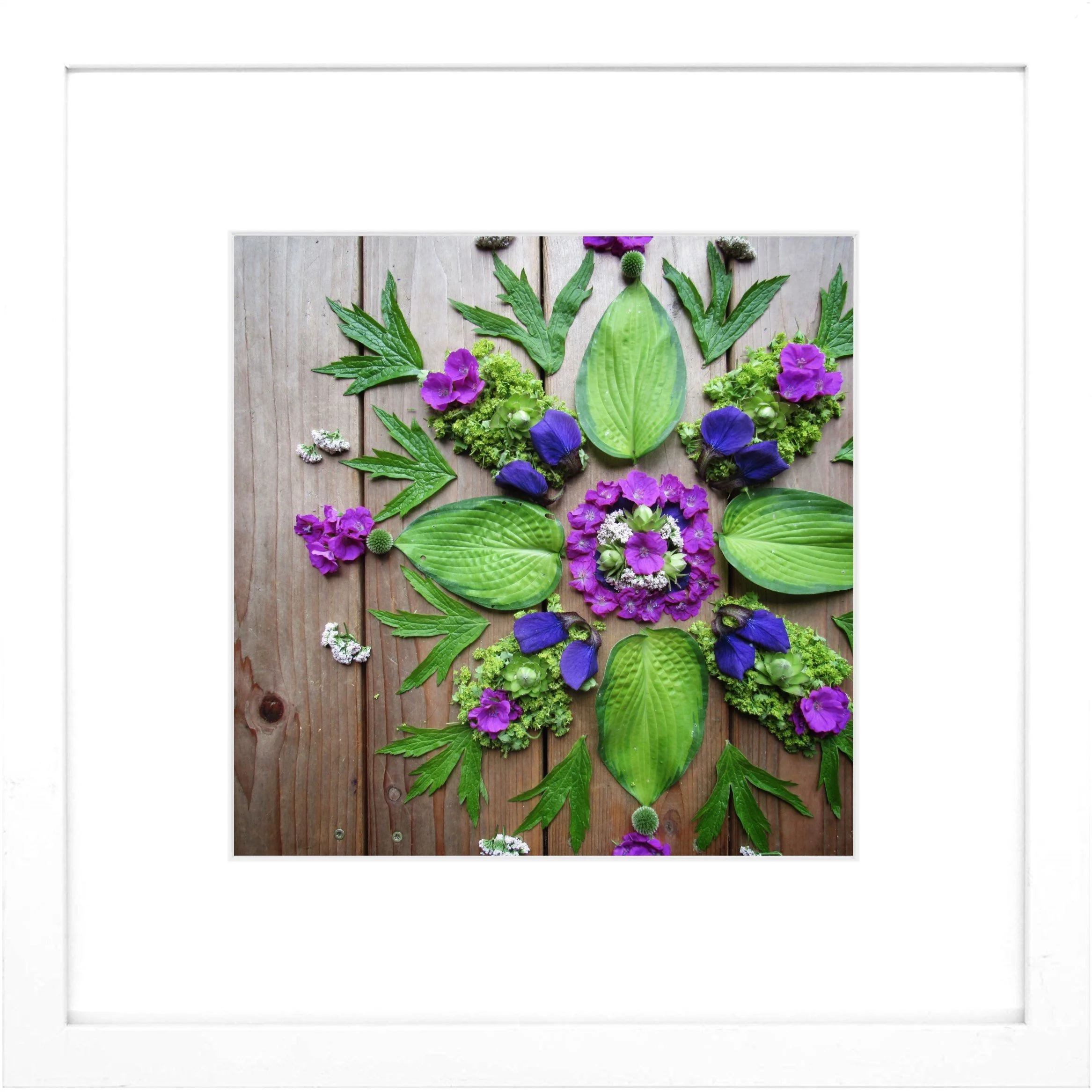 Nature Mandala Art Framed Print Cleanse.jpg