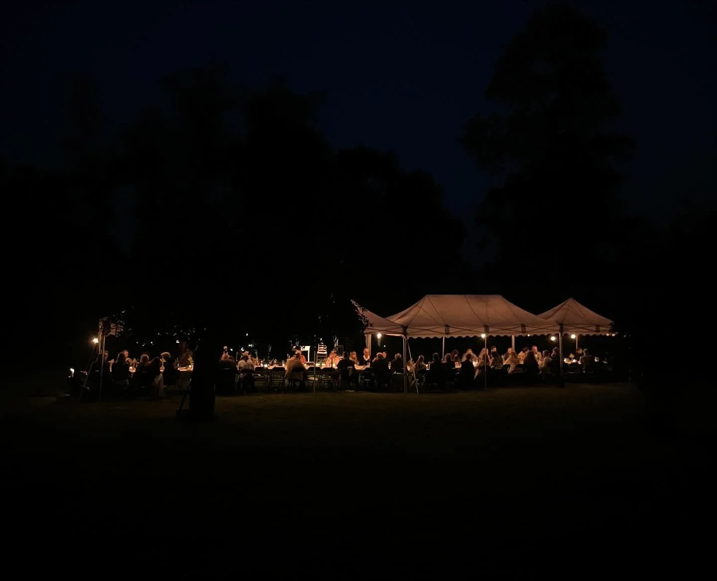 A month since the throwdown of THE decade - or at least A decade ;)!! Celebrating 100 yrs together with my mom, our friends and family was the greatest gift of all 🧚&zwj;♀️ #amelille