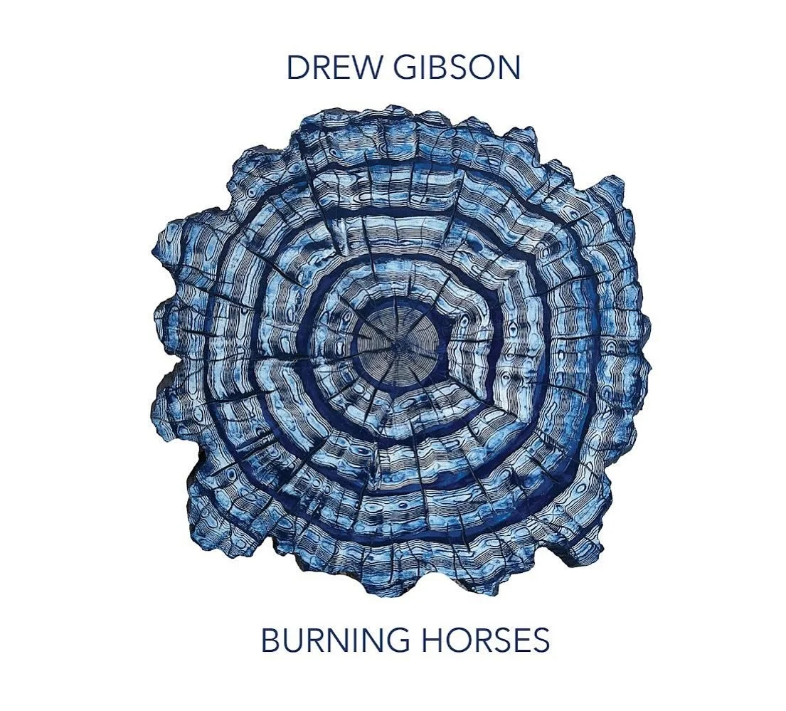 Burning Horses album cover art by @flavorhead.  Be sure to check out the new title track lyric video over on my YouTube channel. Link is in the bio. #newmusic #burninghorses #guitarplayer #guitar #electricguitar #singersongwriter #music