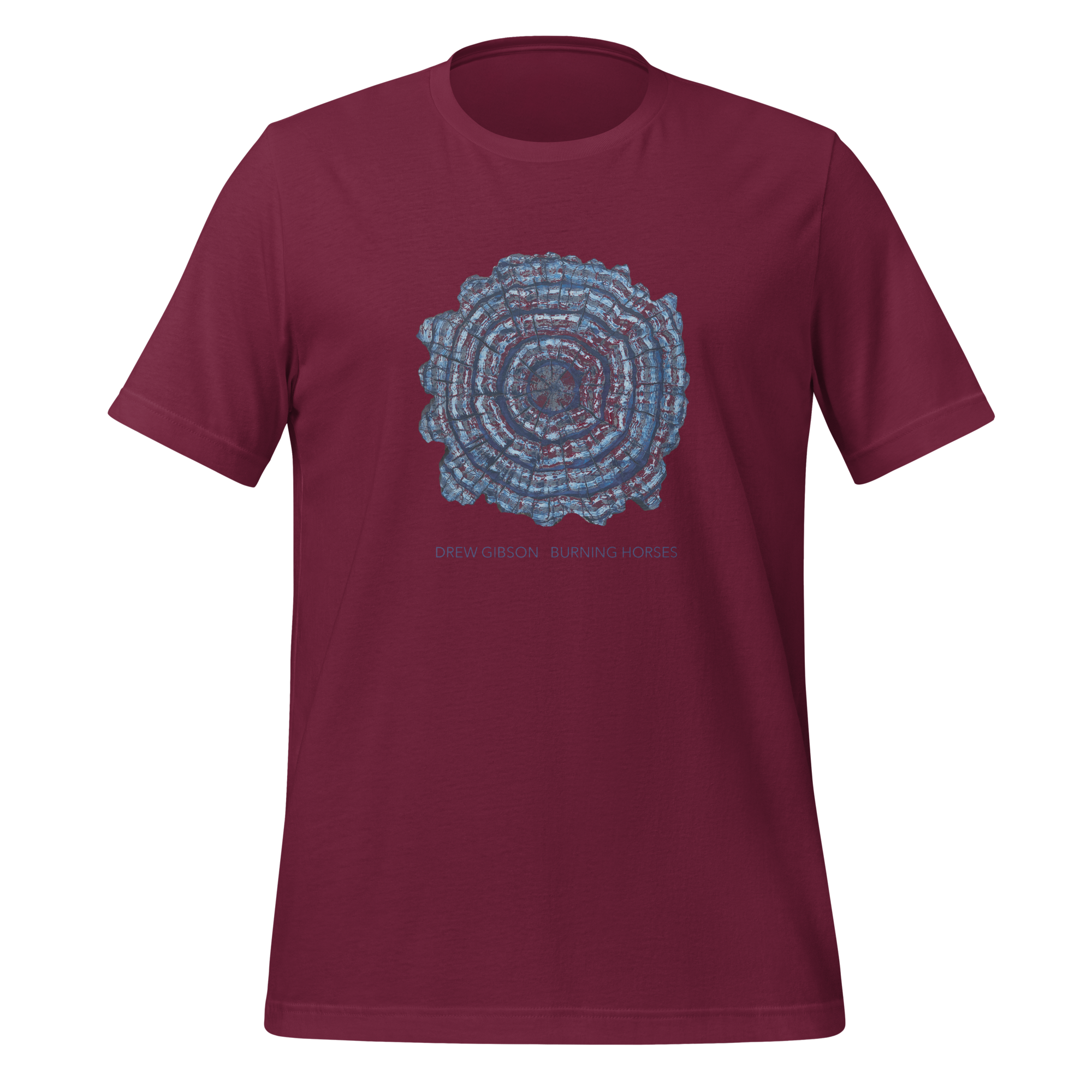 unisex-staple-t-shirt-maroon-front-670dd5251df20.png