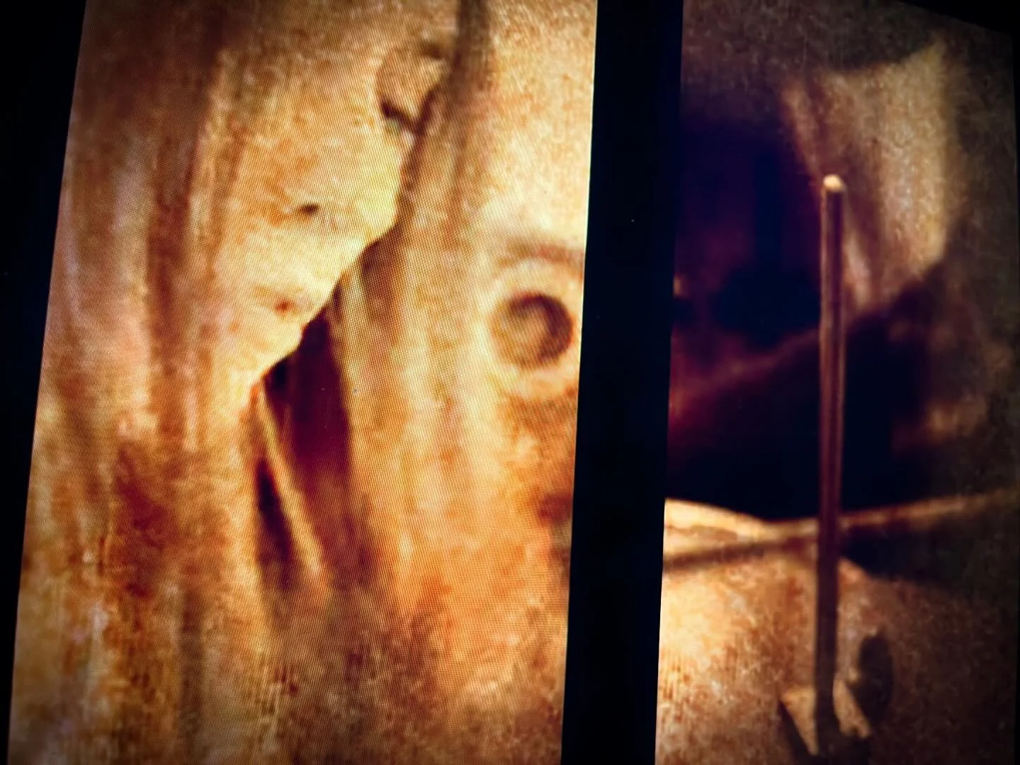 New music video for the title track on my brand new album, Burning Horses, is out now! Featuring the super talented @mixedbagmaddi! Check it out, like, share, ring the bell! Enjoy! 🙏 link is in the bio. #newmusic #musicvideo #burninghorses #electric