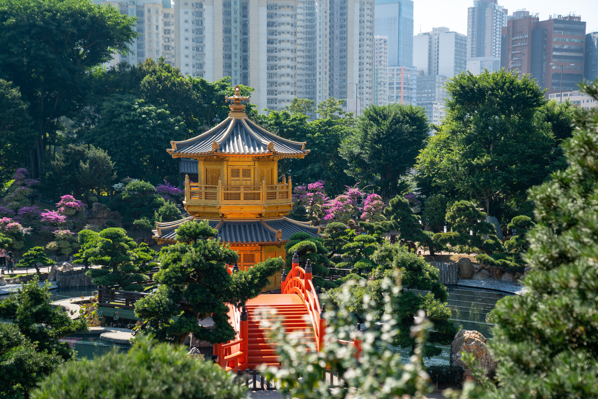 Nan Lian Garden, Hongkong