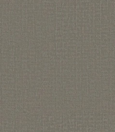 Fallen Acorn 00501.JPG