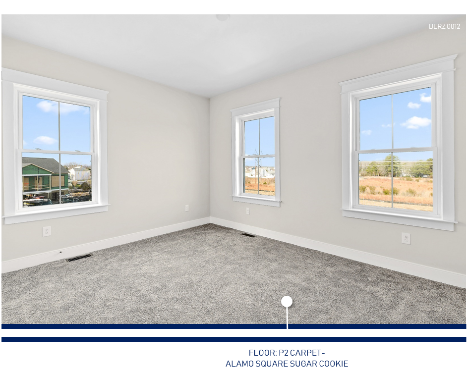 Alamo Square Sugar Cookie.PNG