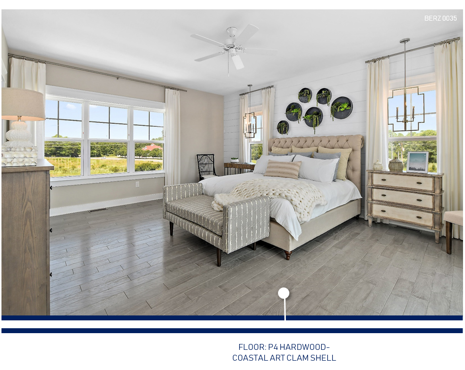 Coastal Art Clam Shell.PNG