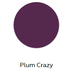 Color Wheel Classic 3x6- Plum Crazy.PNG