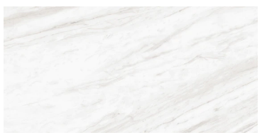 Perpetuo - 12x24 Plank - Timless White Rectangle PT20.PNG