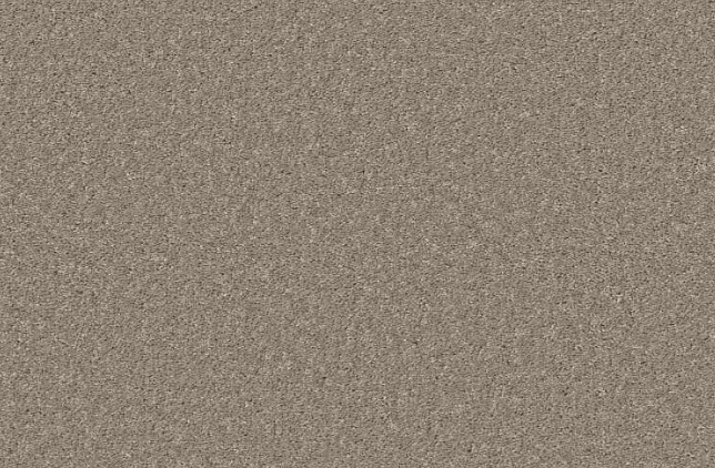 Enchanted Vision - Anew Gray.PNG