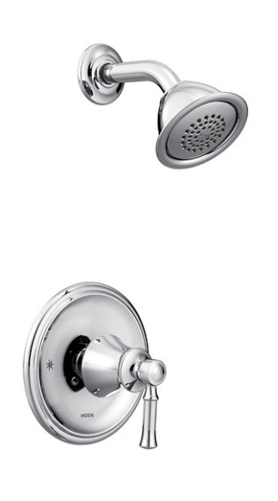 Dartmoor Shower T2182 Chrome.PNG