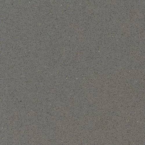 P2 GreyExpo.JPG