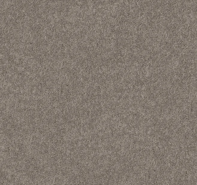 Fireball - Perfect Taupe.JPG