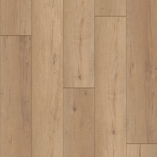 p2 calypso oak 00761.jpg