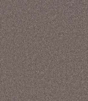 Windsor Court - Hammerhead.JPG