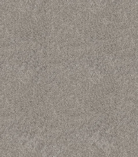 Shadow 00505.JPG