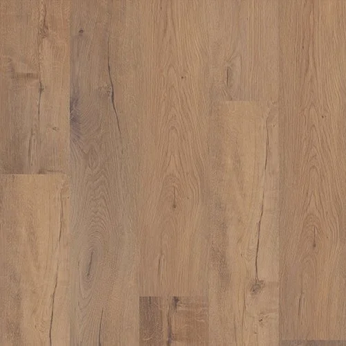 p4 sand dollar oak 05024.jpg