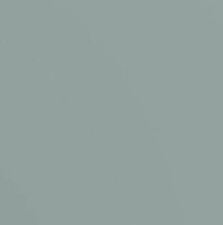 Willet Slab - Tropic.JPG