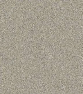 Windsor Court - Magnolia Bloom.JPG