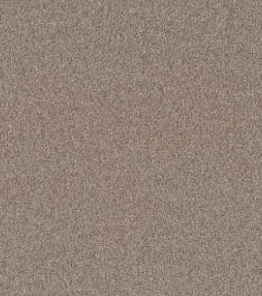 Windsor Court - Biscotti.JPG