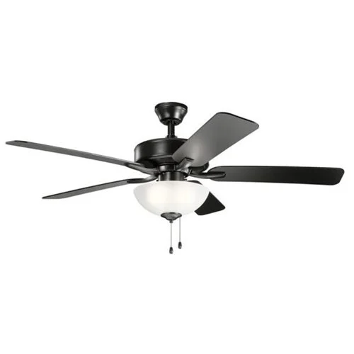Basics pro black interior fan.jpg