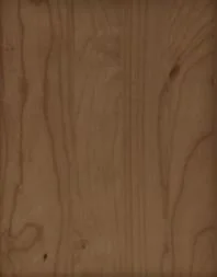 Galvyn Maple - Morel.JPG