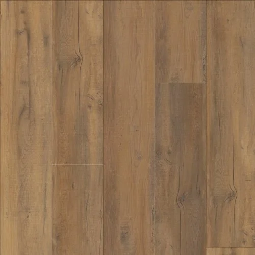 p4 vine oak 02904.jpg