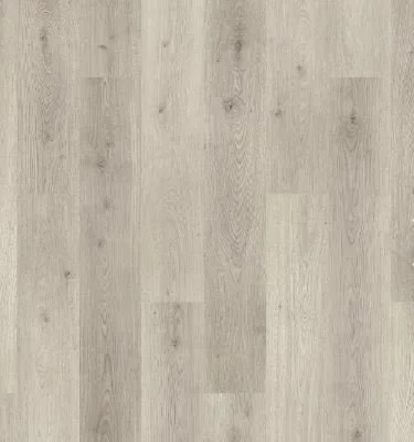Hampton Peak - Sunshower Oak.JPG