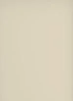 Ingalis Slab - Marcona.JPG