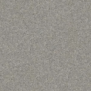 p2 Dolphin+orig+HGR02_00521_MAIN.jpg