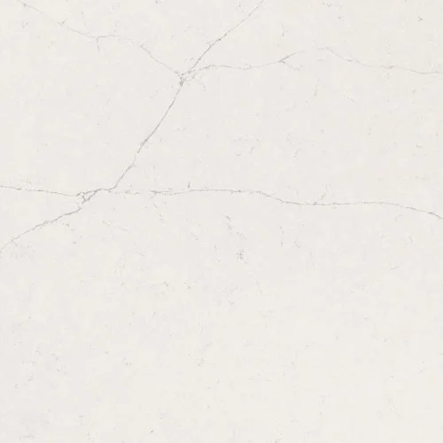 p4 valor white.jpg