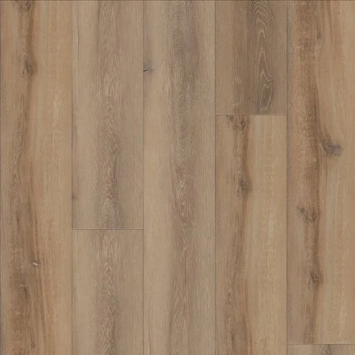 p4 celo oak 02908.jpg