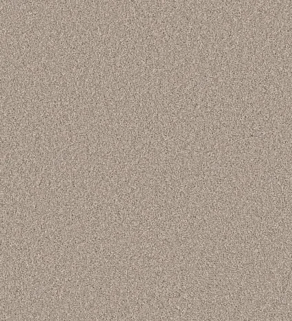 CHIC TAUPE 00124.JPG