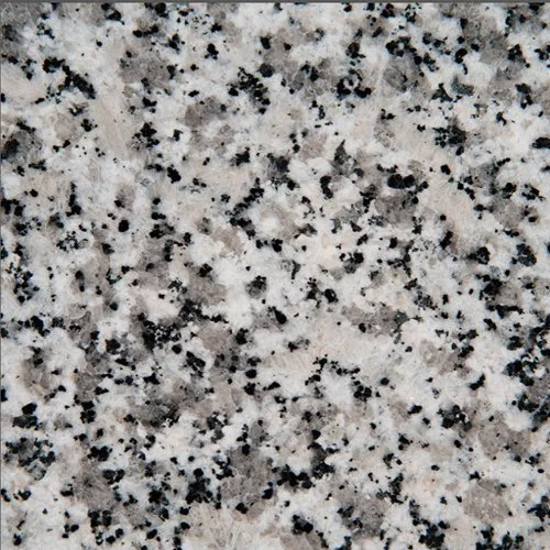 p2 luna pearl 2026.jpg