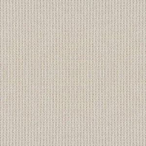 p3 Canvas+HGR62_00103_MAIN.jpg