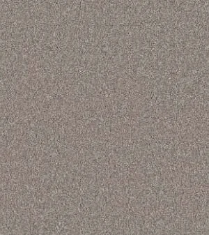 Windsor Court -Barely There.JPG